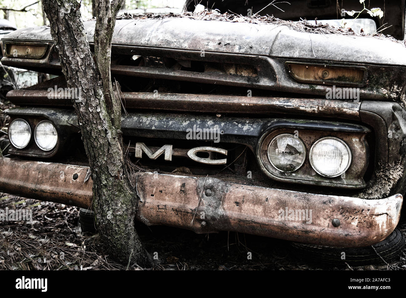 Blanc, GA / USA - Octobre27, 2018 - Image en gros plan d'un vieux camion GMC de rebut dans un parc à ferrailles avec arbre qui grandit hors de la calandre avant Banque D'Images