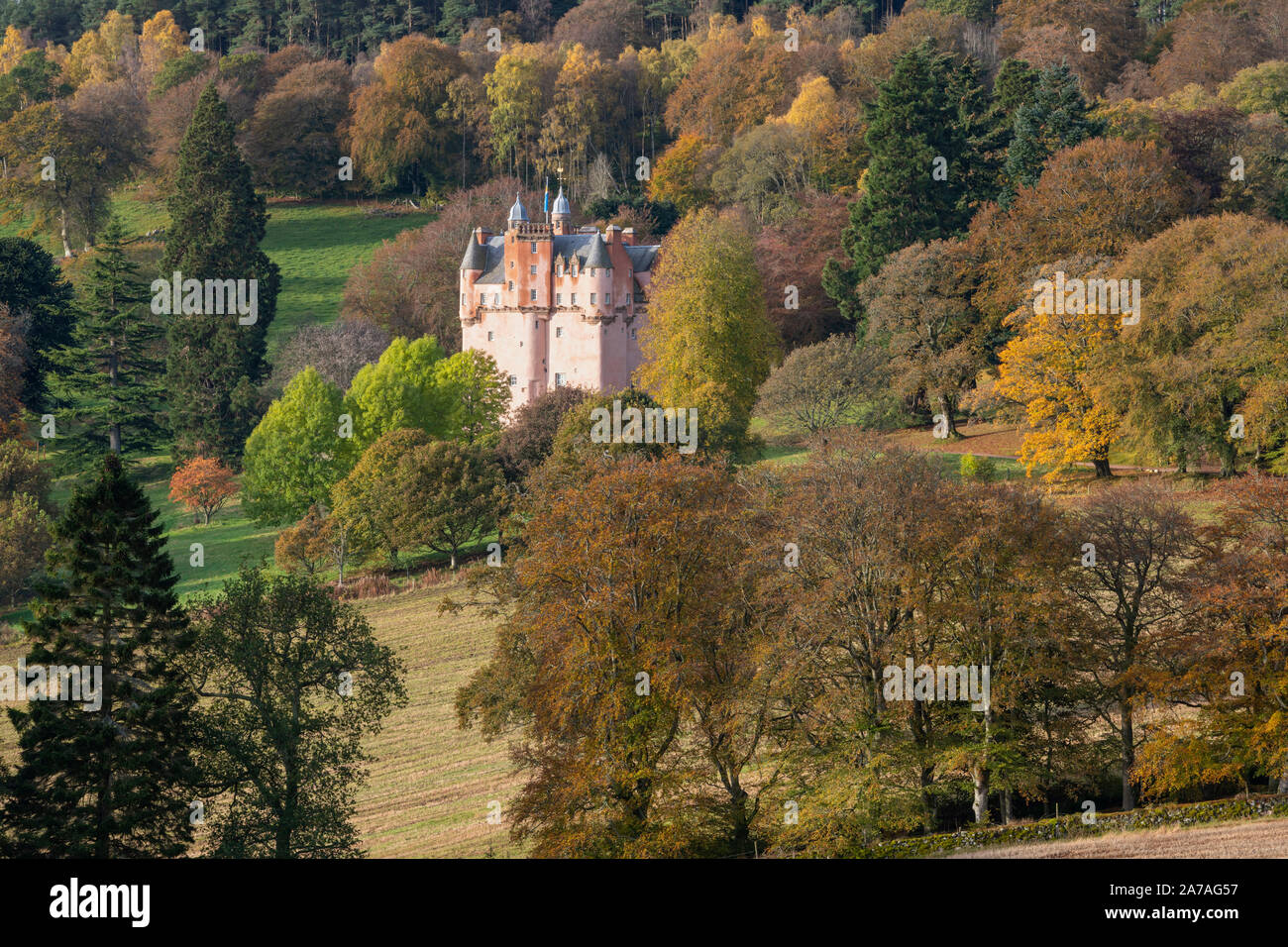 La couleur rose de Craigievar Castle complète les couleurs automnales des arbres divers sur une colline boisée dans l'Aberdeenshire. Banque D'Images
