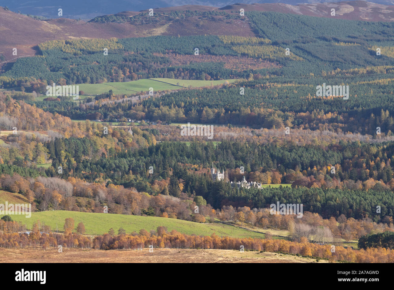 Un écran de feuillage d'Automne dans le Parc National de Cairngorms avec le château de Balmoral et Église Crathie visible au-dessus des arbres Banque D'Images