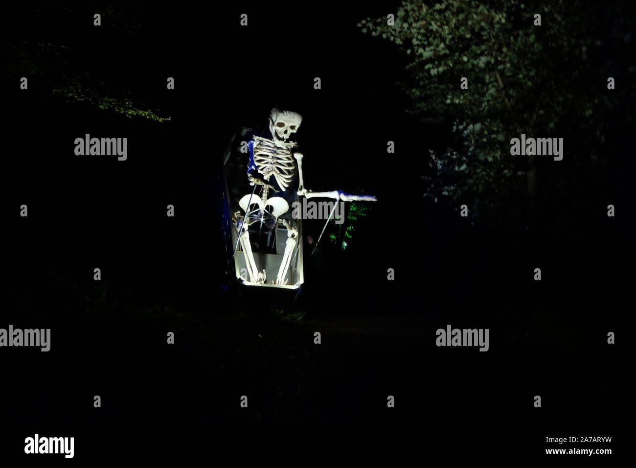 Un squelette géant à la Wicked Woods événement Halloween, Waterford, Irlande Banque D'Images