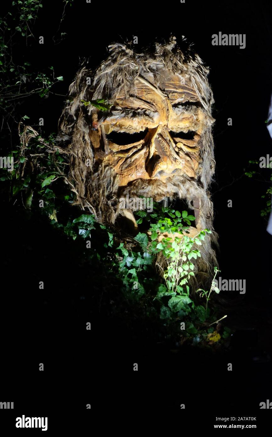 Un grand bois face à l'événement bois méchants, Waterford, Irlande Banque D'Images