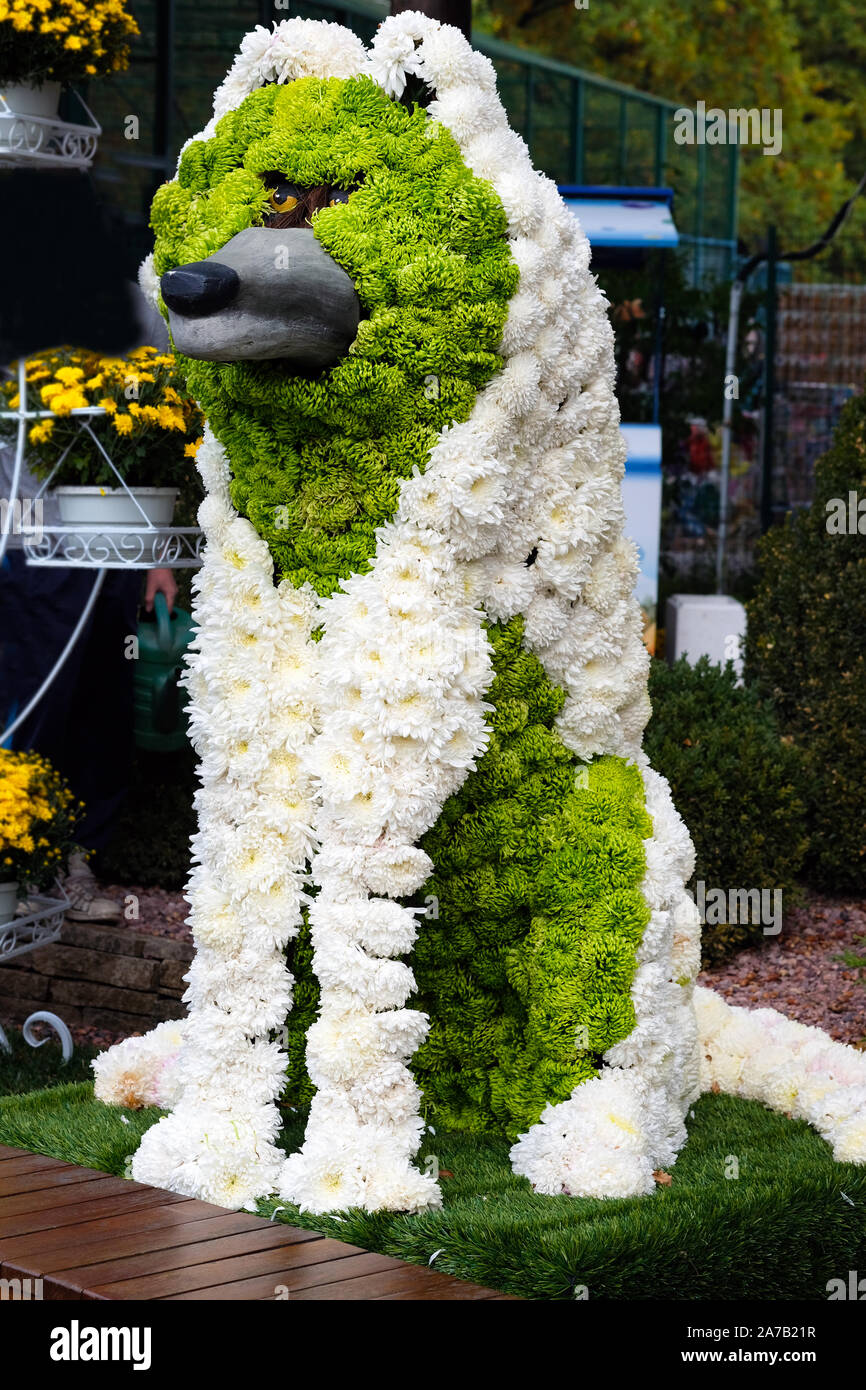 Wolf fait de chrysanthèmes. Des chrysanthèmes blancs et verts sur la figure d'un loup dans une barge d'automne. Boule de chrysanthèmes dans un parc de la ville. Scul Banque D'Images