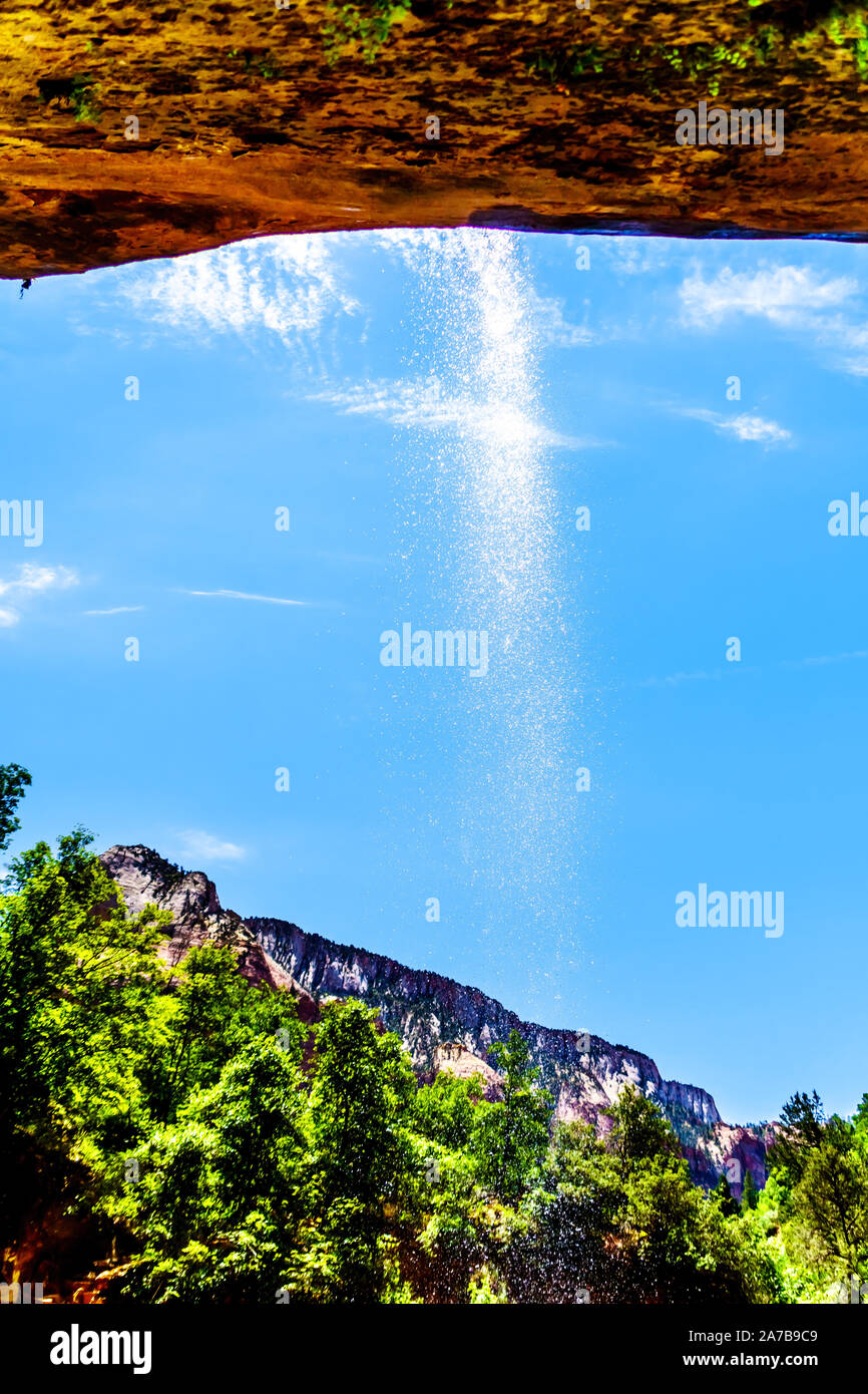 Une petite cascade qui coule sur les falaises surplombant la piste vers le bas piscine d'Emeraude dans Zion National Park, Utah, United States Banque D'Images