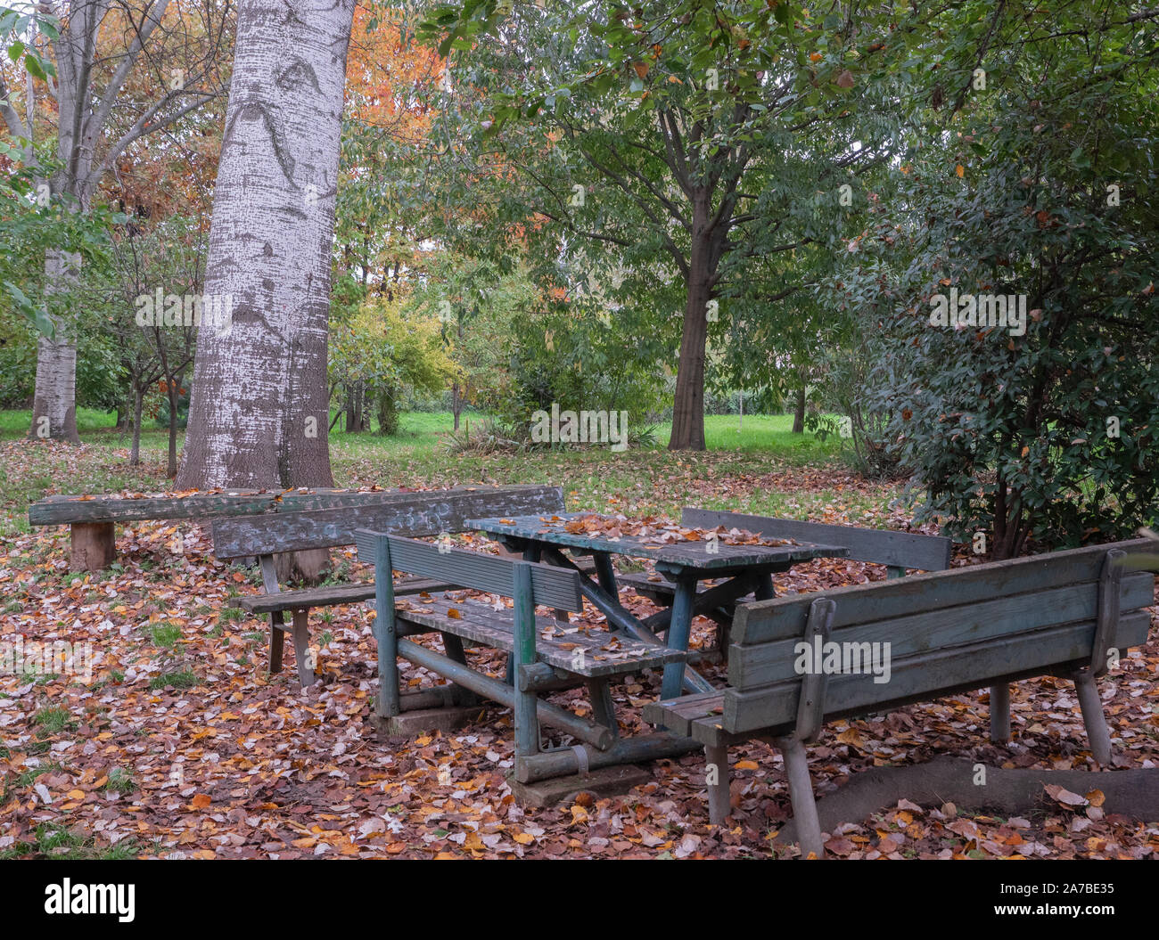 Des bancs et tables pour un pique-nique dans un parc public couverts par l'automne les feuilles sèches Banque D'Images