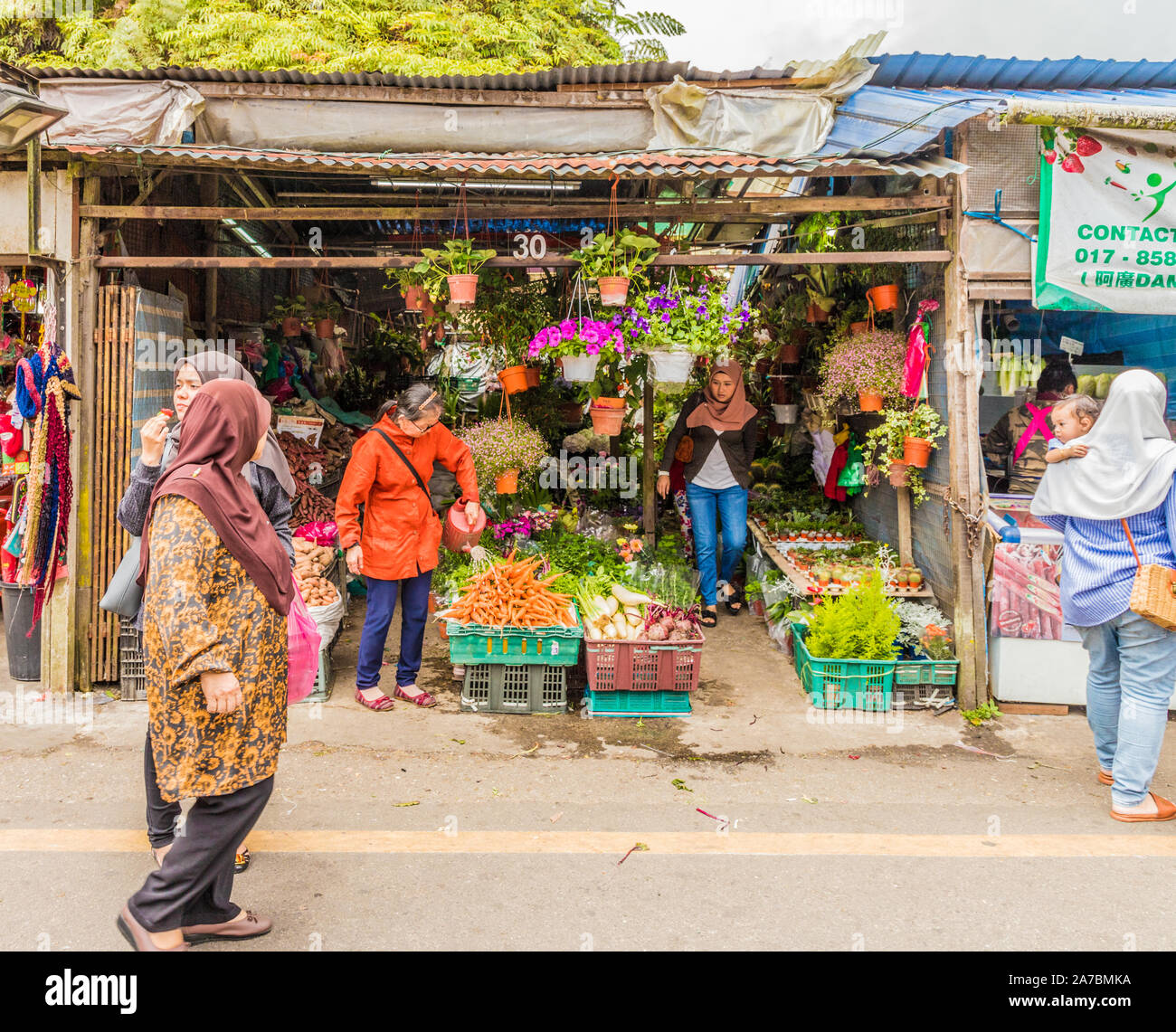 Le Kea Farm Market à Cameron Highlands Banque D'Images