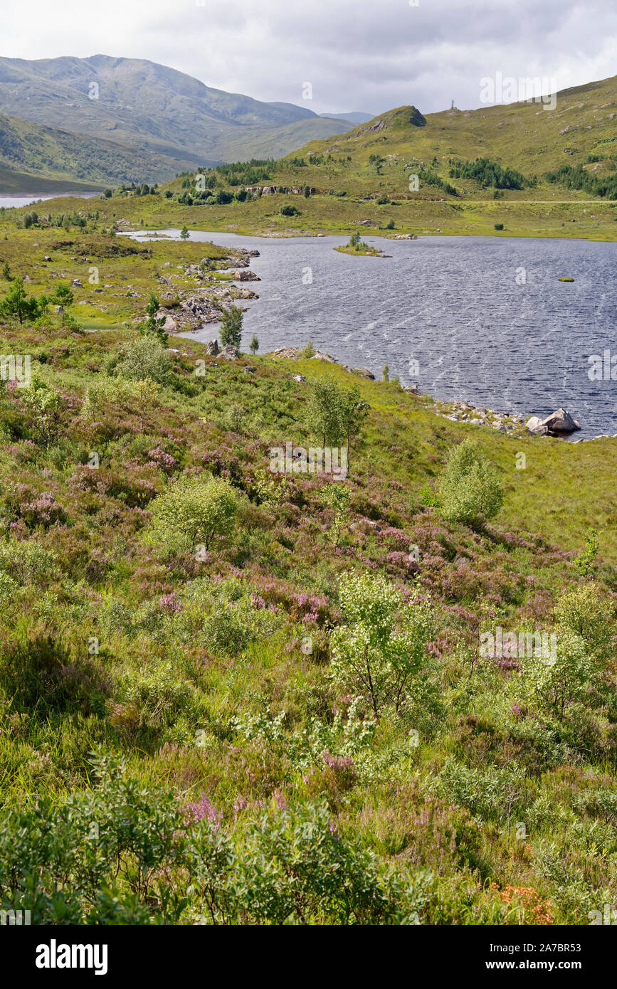 Creag Lundie Haut Sud sur l'Île du Loch Cluanie, Highland, Scotland, UK vue ouest vers Aonach air Chrith (1021m) Banque D'Images