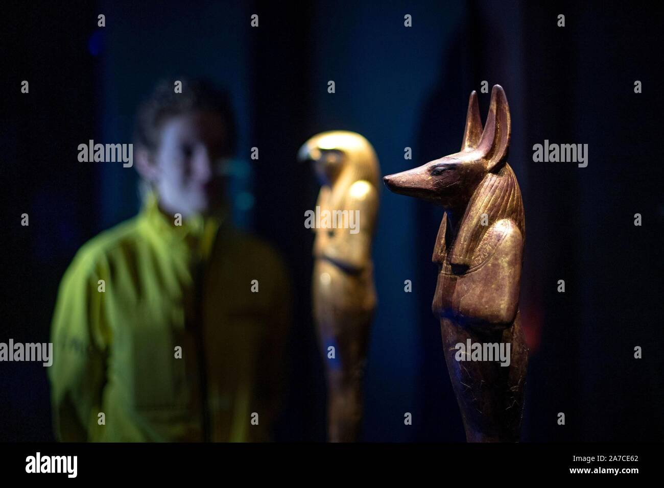 Un membre du personnel se penche sur un en bois doré de la figure à tête de chacal Douamoutef, daté 1336-1326 avant J.-C., à une presse d'aperçu pour les trésors de Toutankhamon : le Golden Phaorah exposition à la Saatchi Gallery à Chelsea, Londres. PA Photo. Photo date : vendredi Novembre 1,2019. Voir l'histoire de Toutankhamon ARTS PA . Crédit photo doit se lire : Victoria Jones/PA Wire Banque D'Images