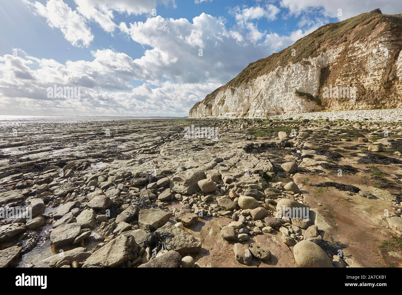 Flamborough Head beach blanc craie falaises et mer, East Yorkshire, UK Banque D'Images