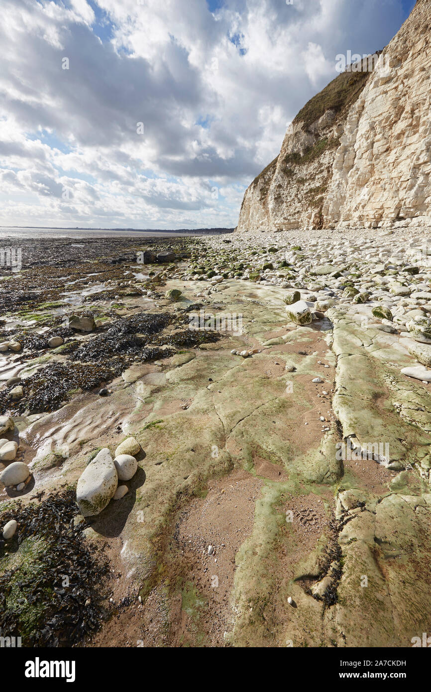 Flamborough Head beach white chalk cliffs et la mer au nord de Bridlington, East Yorkshire, UK Banque D'Images