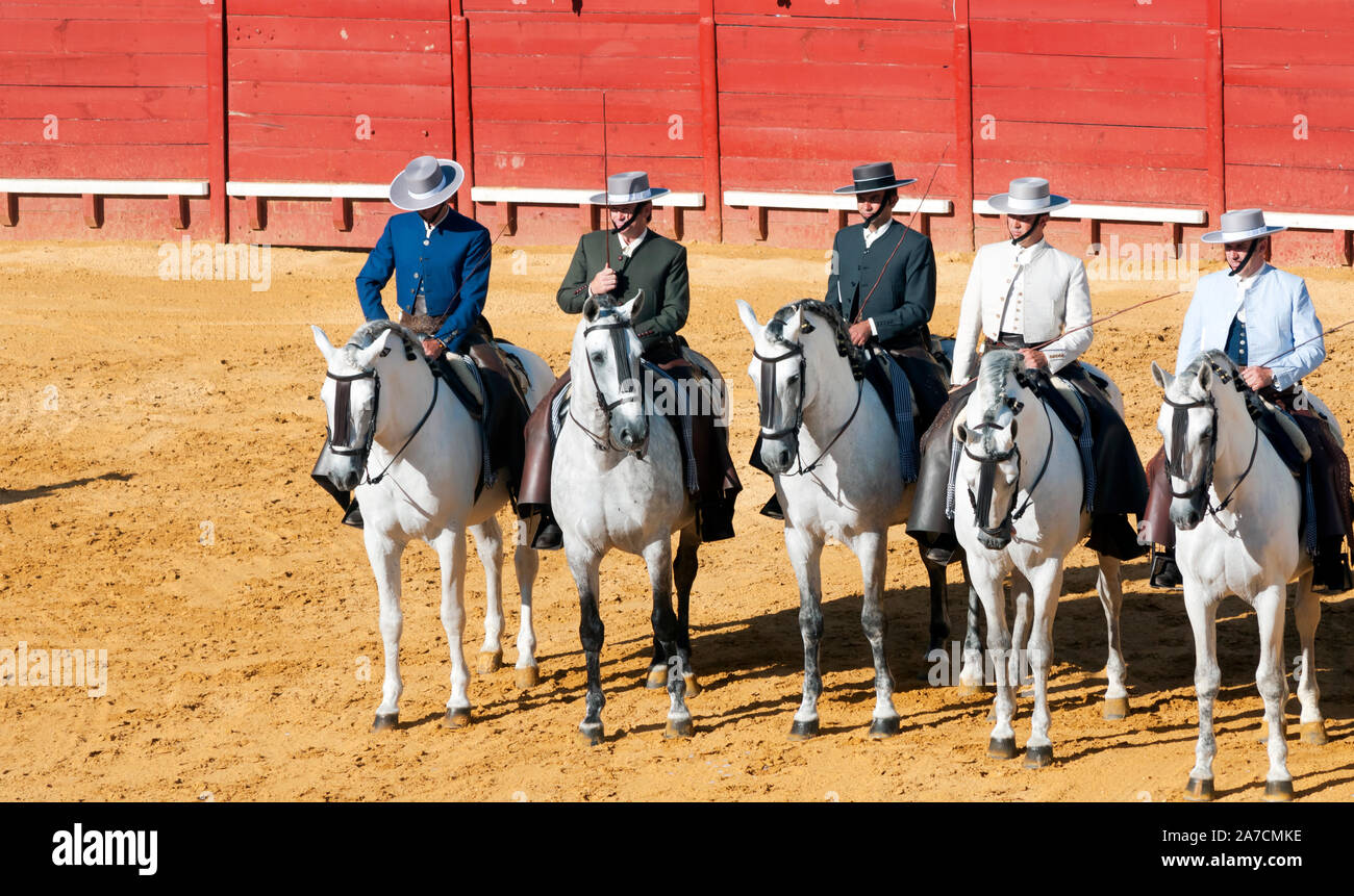 Cinq cavaliers montés sur des chevaux blancs dans les arènes de pur-sang Banque D'Images