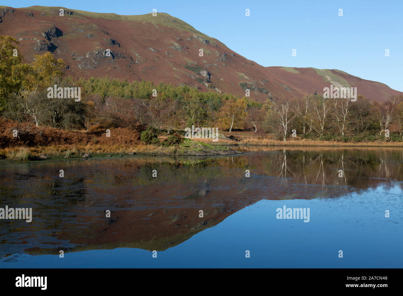 Tôt le matin dans la région de Derwent Water Parc national de Lake District en Angleterre. Les collines formant cat ion cloches l'arrière-plan. Banque D'Images