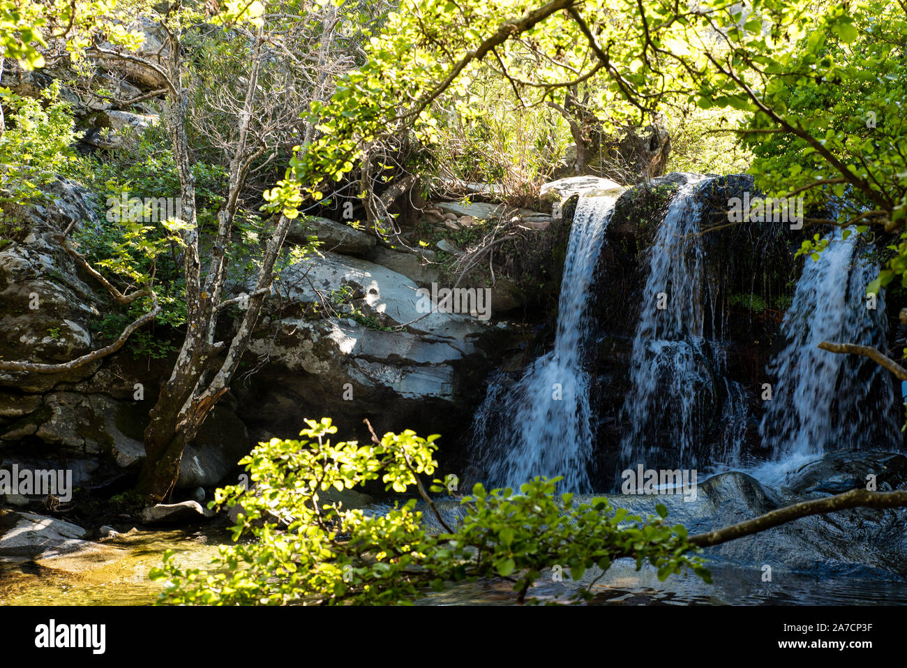 Cascades de Pythara à Andros island, Cyclades, Grèce Banque D'Images