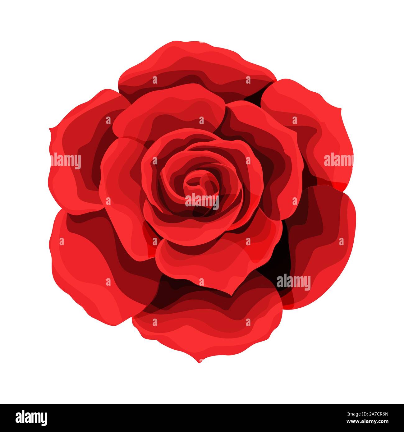 Dessin à la main et de couleur rose. L'essor de Rosebud. Vector illustration. Illustration de Vecteur