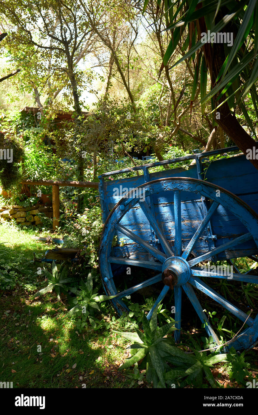 L'atmosphère colorée vert rustique jardin d'été de l'Agritourisme à Meriacru Su Spiaggia di Berchida dans Siniscola Sardaigne Italie. Banque D'Images