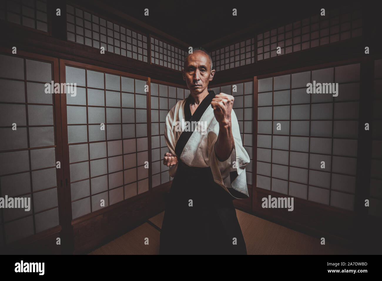 Dojo salle Banque de photographies et d’images à haute résolution Alamy