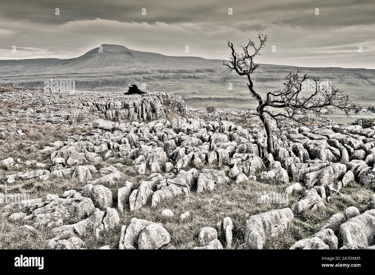 Fin de cicatrice est un règlement sur le côté de Twistleton cicatrice dans le comté anglais du Yorkshire du Nord. Il est entouré par 2 de Whernside et Ingleborough Banque D'Images