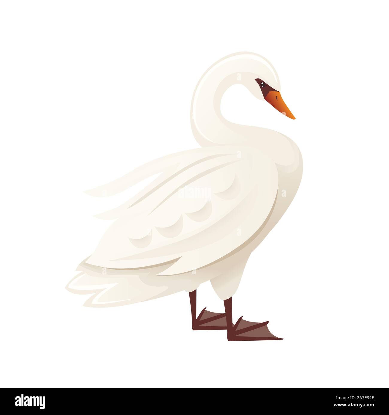 Cygne blanc plus grand oiseau volant nager sur l'eau cartoon animal télévision design vector illustration isolé sur fond blanc. Illustration de Vecteur