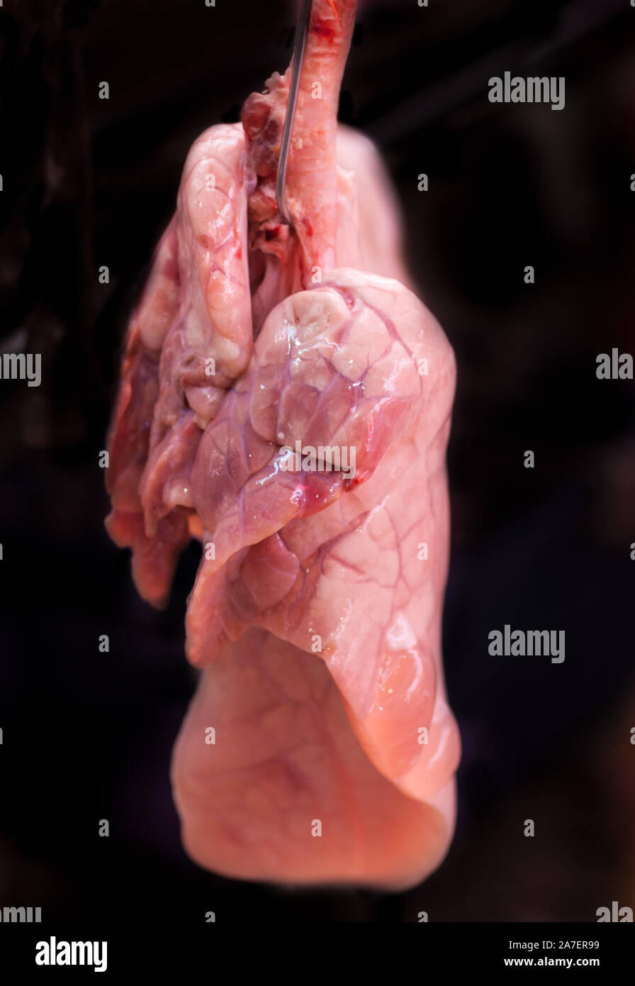 Poumons disponible sur le marché local à Hong Kong Banque D'Images