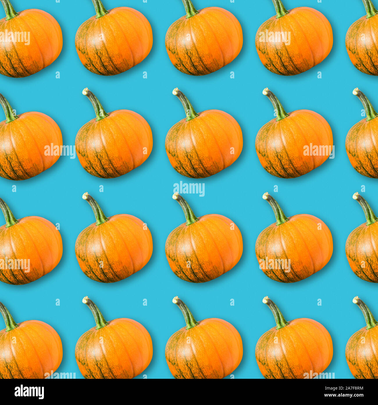Disposition géométrique de citrouilles orange sur fond bleu turquoise, texture de légumes colorés, de la nourriture végétalienne, modèle automne Halloween background Banque D'Images