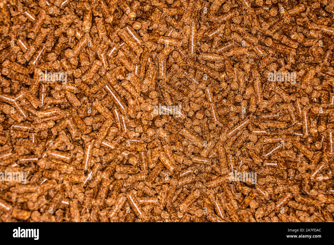 Close-up de granulés bois stocké pour utilisation dans une poêle de la biomasse Banque D'Images