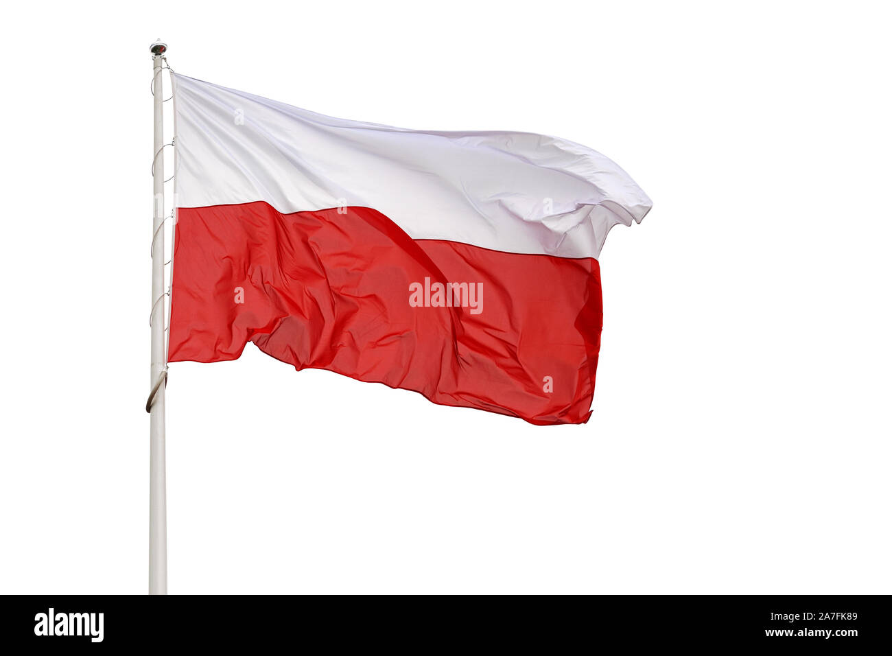 Brandissant le drapeau national de la Pologne sur un fond blanc Banque D'Images