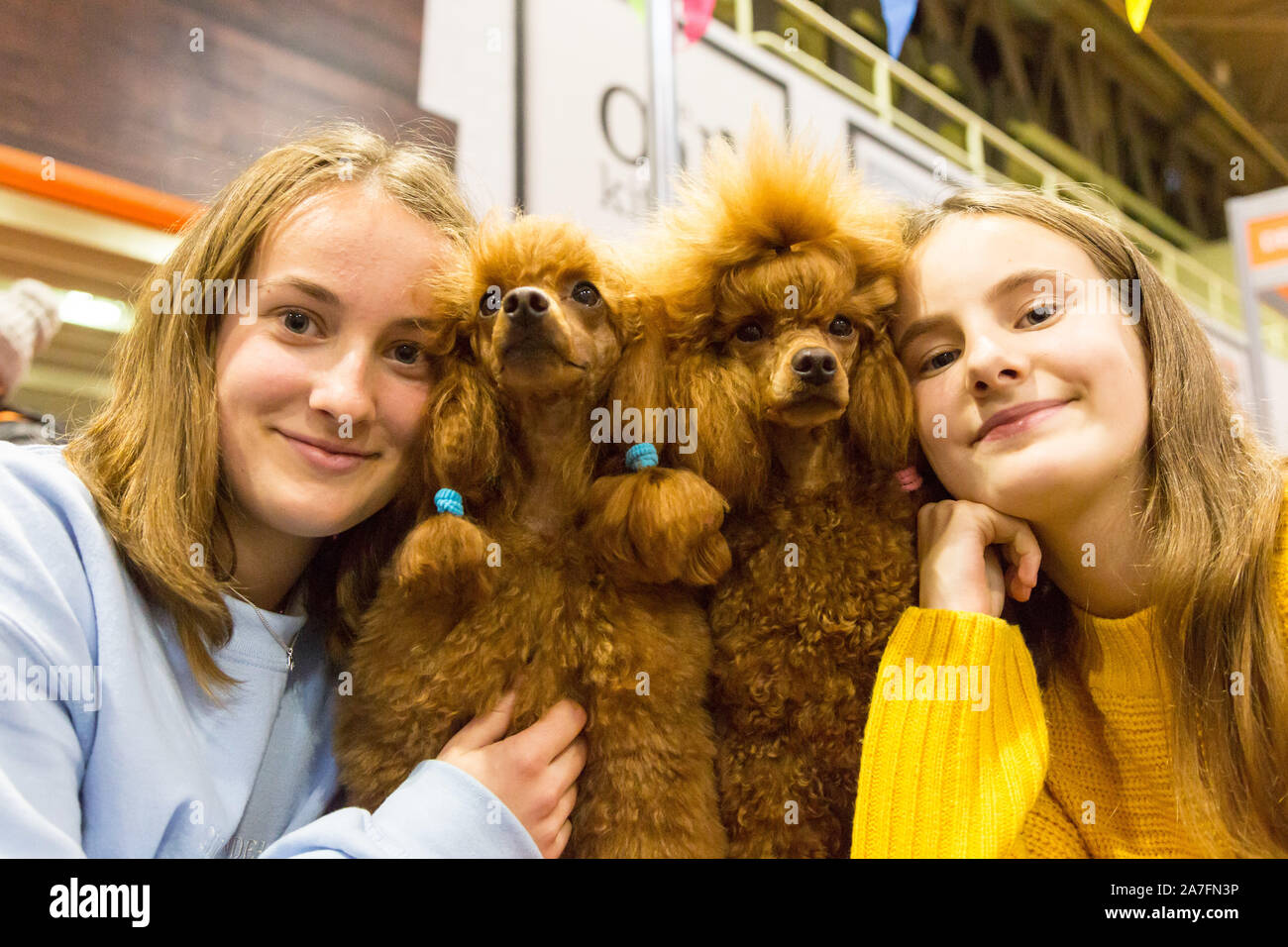 Birmingham, UK. 2 novembre, 2019. 16-year-old Greta Bojaroviciute et sa soeur Gabriele, 13, avec le caniche miniature Nutta et Esmé au National Pet Show qui se tient à la CEN à la fin de semaine. Des centaines d'animaux, petits et grands, basse-cour et exotiques, poilu et de plumes, sont exposés et de l'exécution à des expositions. Peter Lopeman/Alamy Live News Banque D'Images