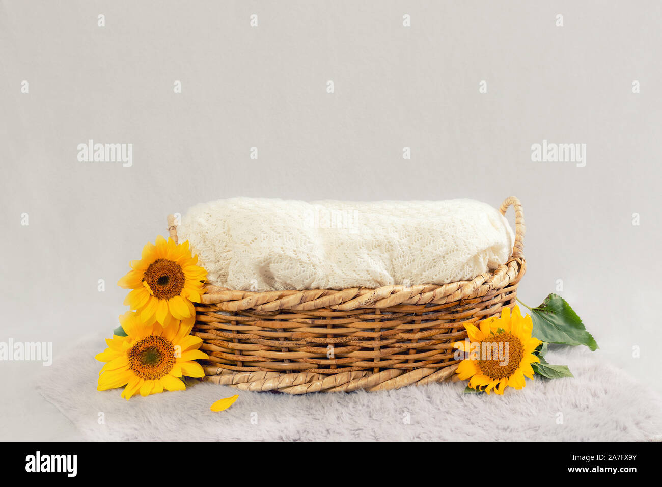 Panier Pour Bebe Banque De Photographies Et D Images A Haute Resolution Alamy