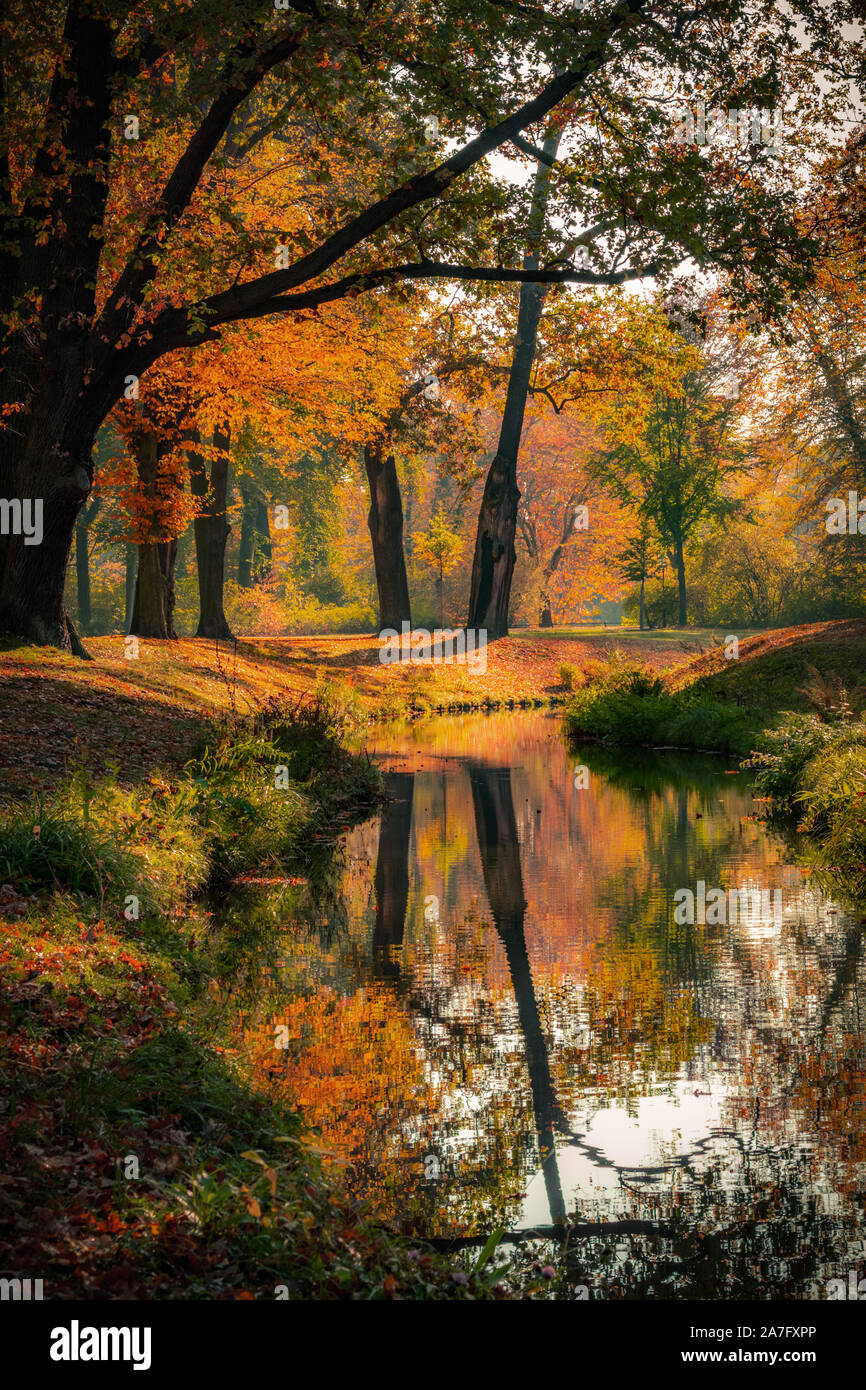 Beau paysage d'automne chaud et ensoleillé avec une belle lumière. Photo prise à Bad Muskau parc, Saxe, Allemagne. UNESCO World Heritage Site. Banque D'Images