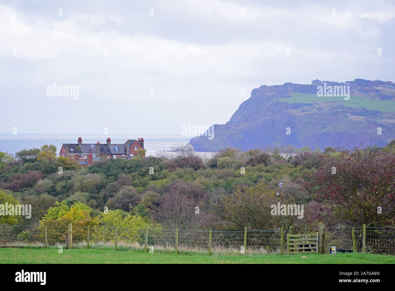 Ravenscar Côte Jurassique et vu de près de Robin Hood's Bay Banque D'Images