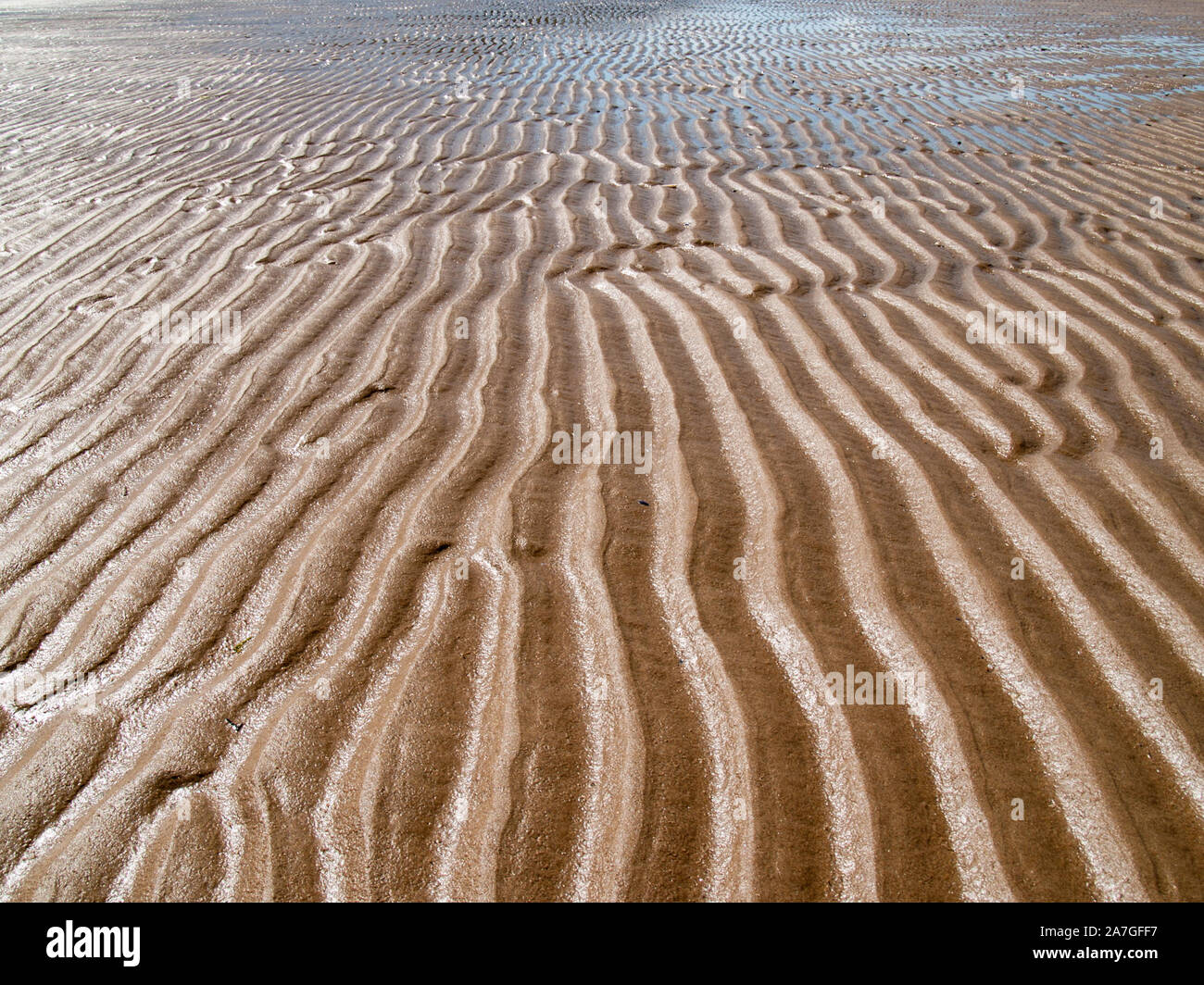 Sur les sables bitumineux. Whiteford Des modèles dans le sable sur la plage. AONB. Llanmadoc, North Gower, Pays de Galles, Royaume-Uni. Banque D'Images
