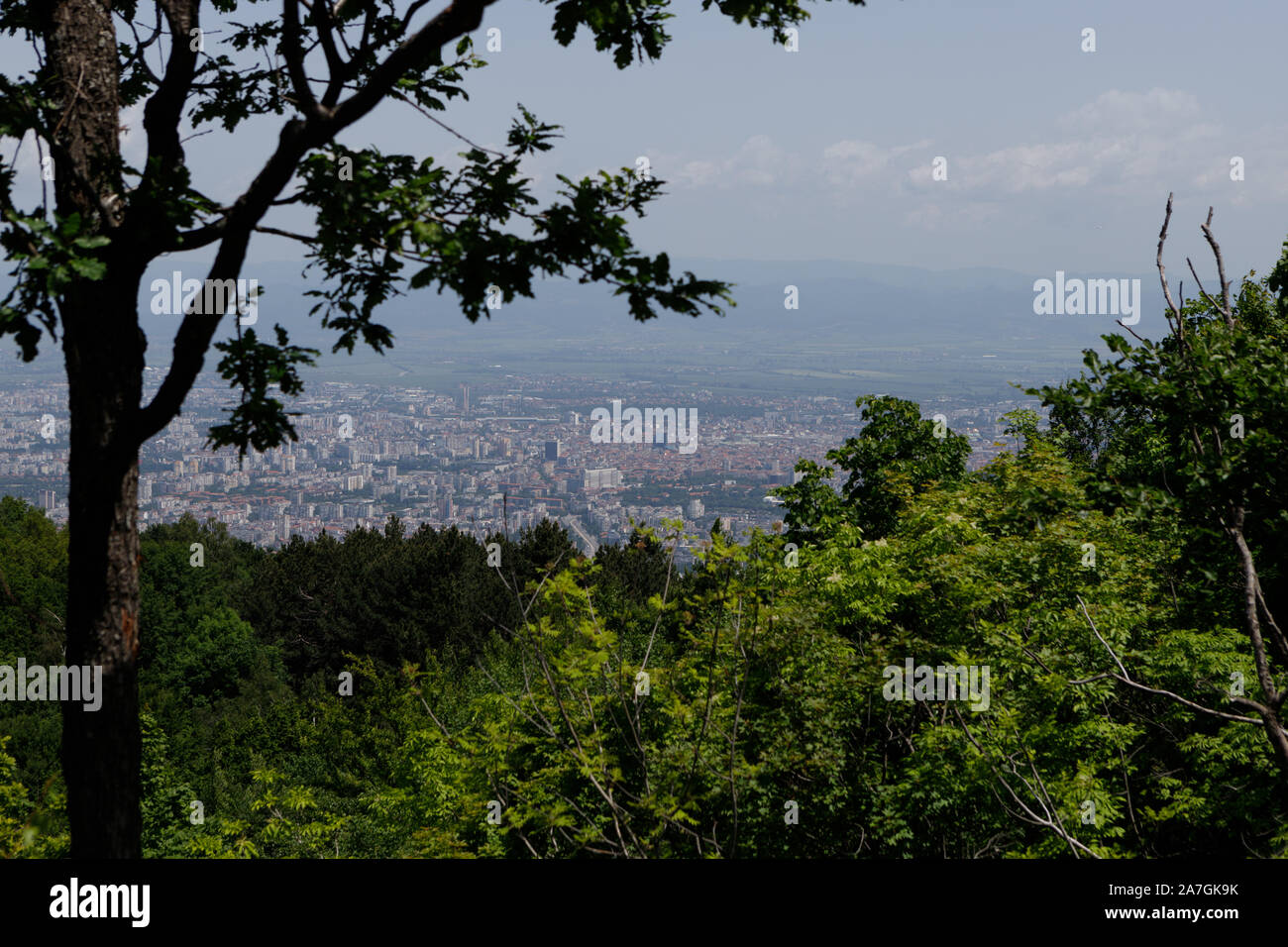 Ville de Sofia vu depuis un belvédère sur la montagne Vitosha, lors d'une claire journée d'été (Sofia, Bulgarie, Europe) Banque D'Images