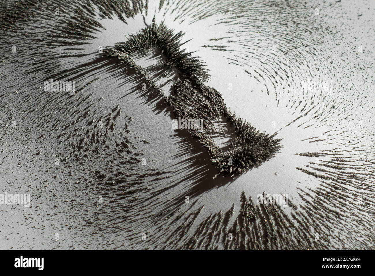 La poussière de fer montrant le champ magnétique à proximité d'un aimant barre sur fond blanc Banque D'Images