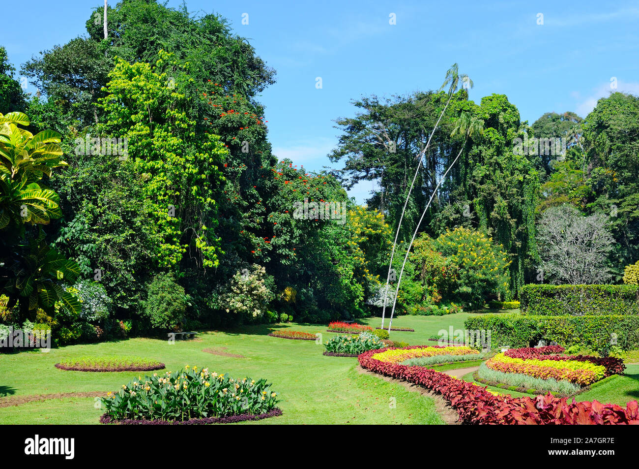 Magnifique parc tropical avec des fleurs, pelouses et arbres Banque D'Images