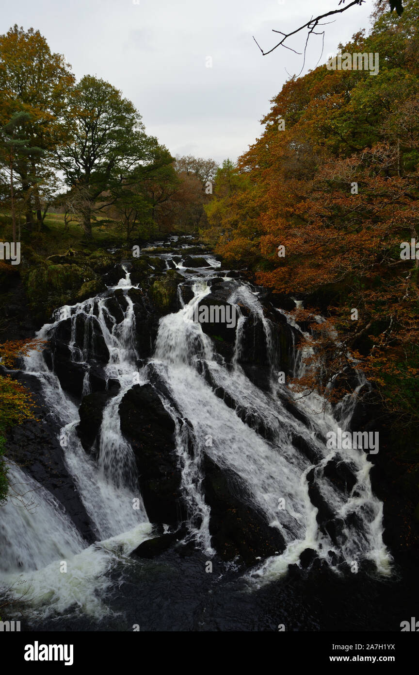 Swallow Falls, Betws-Y-coed, au nord du Pays de Galles, Snowdonia, UK - Octobre 2019 : arbres d'automne et de cascades en montagnes galloises. Banque D'Images