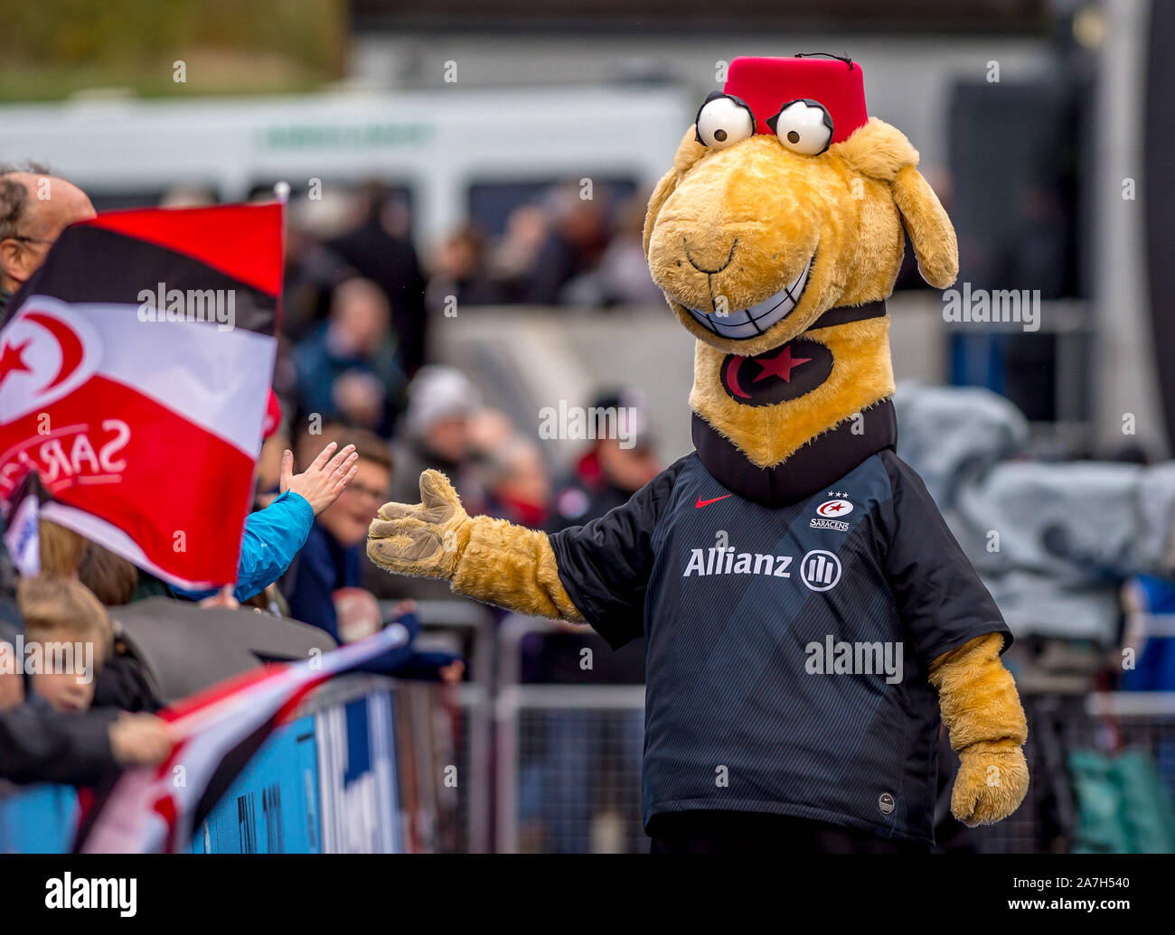 Londres, Royaume-Uni. 09Th Nov, 2019. Sarrie le chameau, Sarrasins mascot avec les supporters avant le match de rugby Premiership Gallagher entre sarrasins et London Irish à l'Allianz Park, Londres, Angleterre. Photo par Phil Hutchinson. Credit : UK Sports Photos Ltd/Alamy Live News Banque D'Images