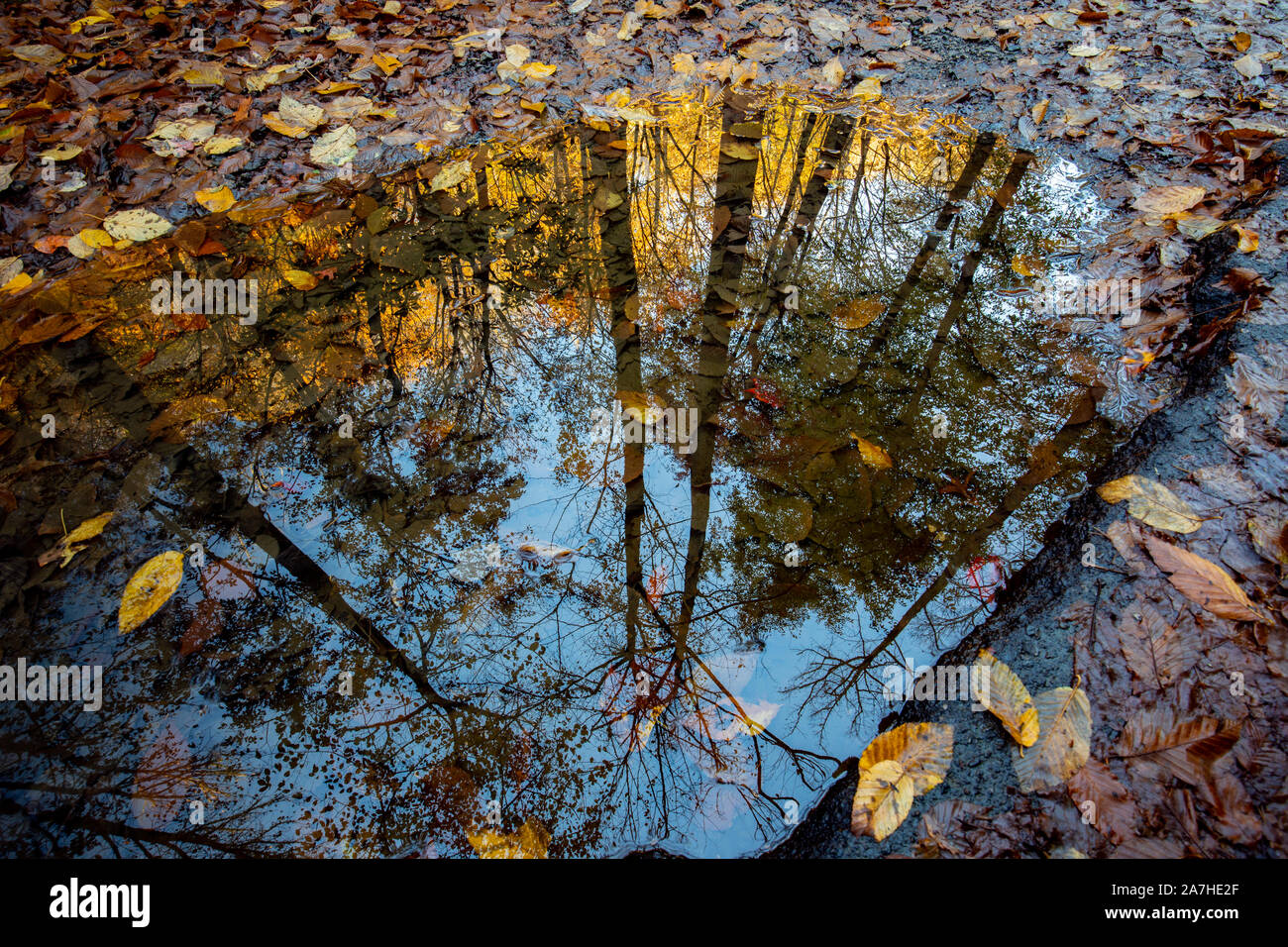 Chute des reflets à Pisgah Forest National - près de Brevard, North Carolina, United States Banque D'Images