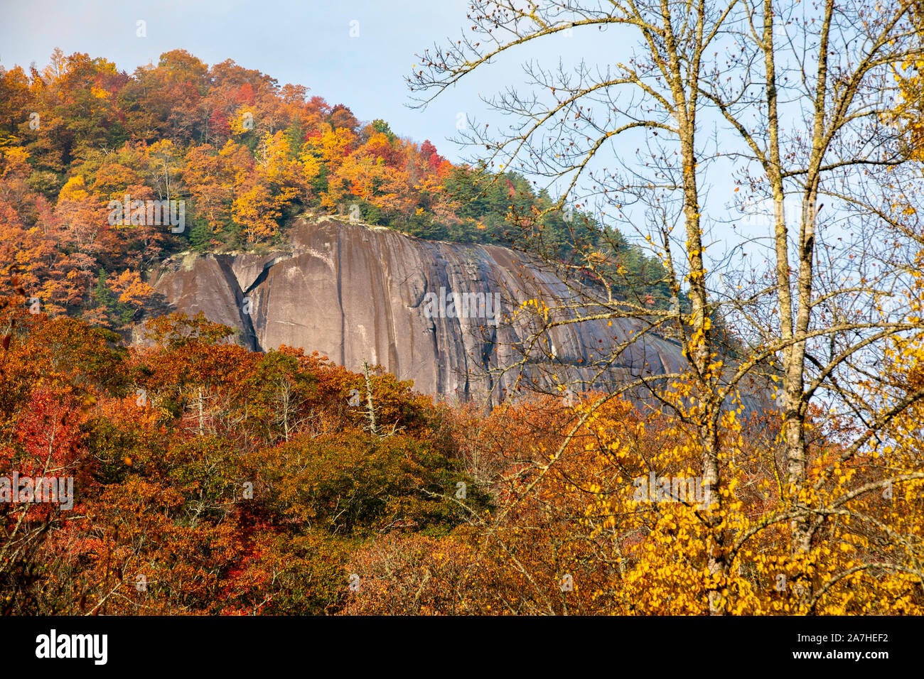 Verre à Rock en paysage d'automne - Pisgah National Forest, à proximité de Brevard, North Carolina, United States Banque D'Images