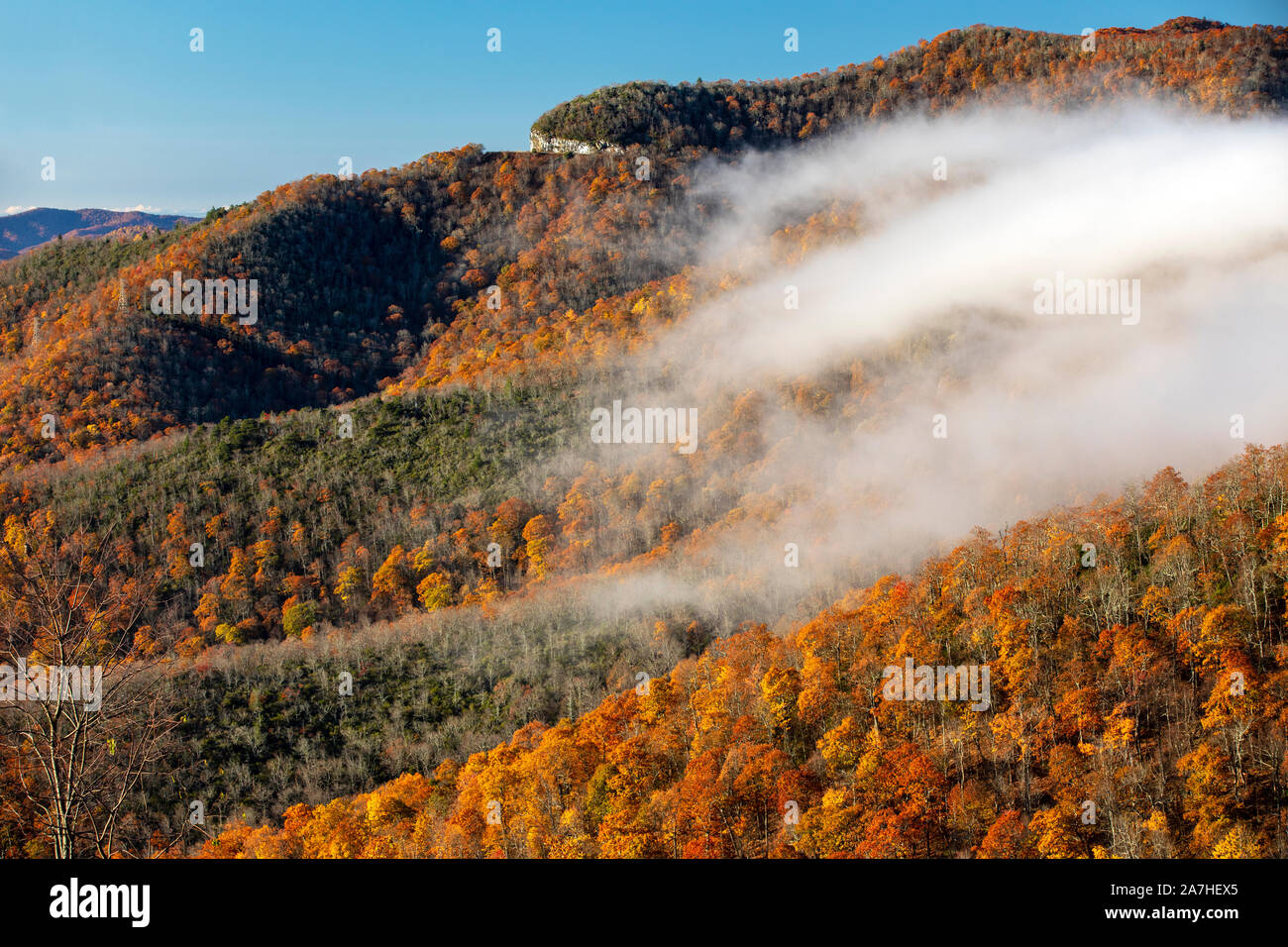 La couleur de l'automne sur le Blue Ridge Parkway, près de Asheville, Caroline du Nord, États-Unis Banque D'Images