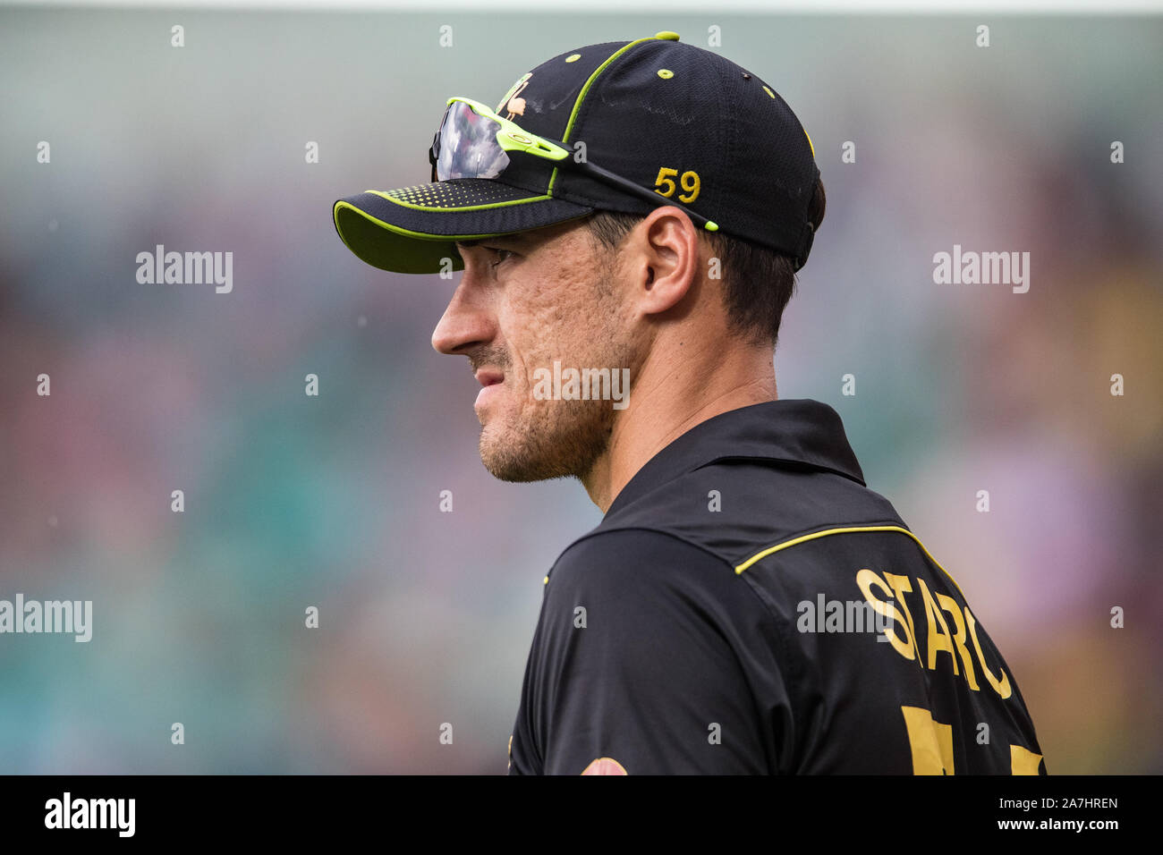 Sydney, Australie. 06Th Nov, 2019. Mitchell Starc de l'Australie au cours de la Gillette T20 série internationale match entre l'Australie et le Pakistan au Sydney Cricket Ground, Sydney, Australie. Photo de Peter Dovgan. Credit : UK Sports Photos Ltd/Alamy Live News Banque D'Images