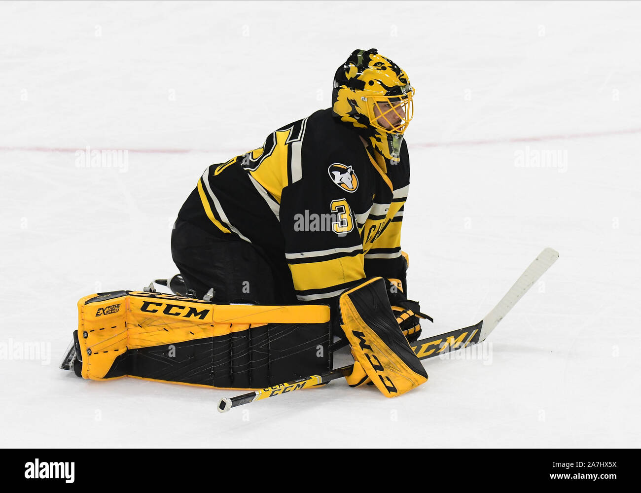 2 novembre 2019 les Huskies de Michigan Tech Robbie gardien Beydoun (35) s'étend lors d'un arrêt à jouer dans le 2019 de la Renommée du Hockey AMÉRICAIN NCAA men's match de hockey entre les Huskies de Michigan Tech et l'Université du Dakota du Nord, la lutte contre les Éperviers de Ralph Engelstad Arena à Grand Forks, ND. Dakota du Nord a gagné 3-1. Photo par Russell Hons Banque D'Images