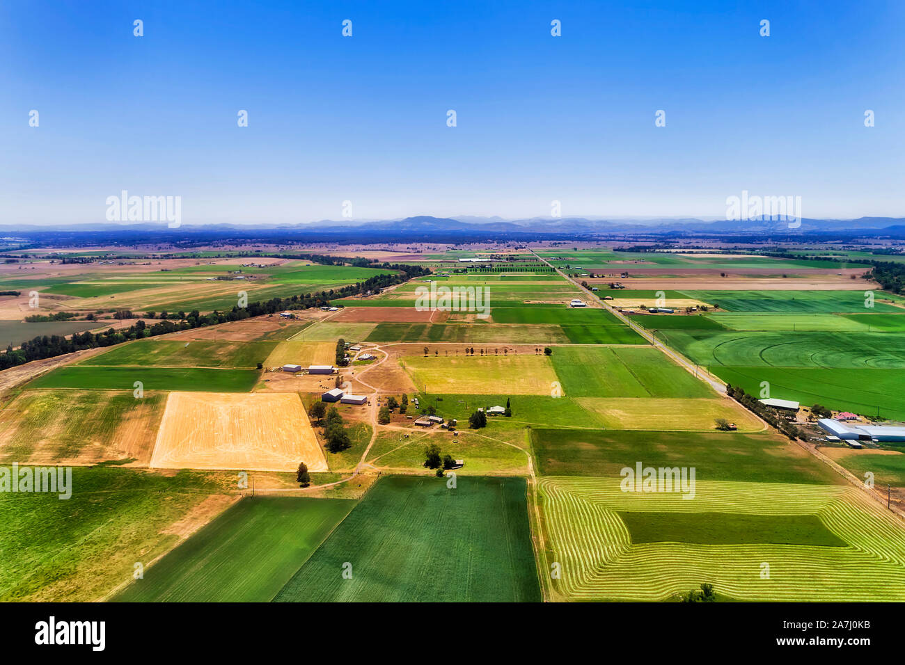 Les champs verts avec l'irrigation et de culture sur les rivages de Hunter River dans la région de Hunter Valley Australie autour de farm house sous ciel bleu sur une Banque D'Images