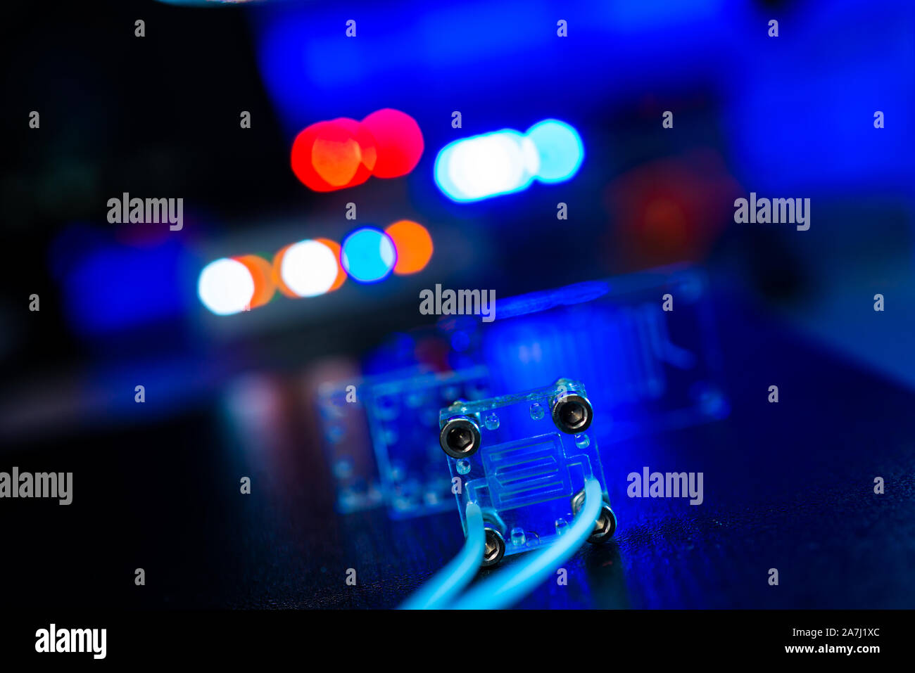 Organe-sur-puce (OOC) - dispositif microfluidique puce qui simule les organes biologiques c'est le type d'organes artificiels. Conception de prototypes de laboratoires sur puce Banque D'Images