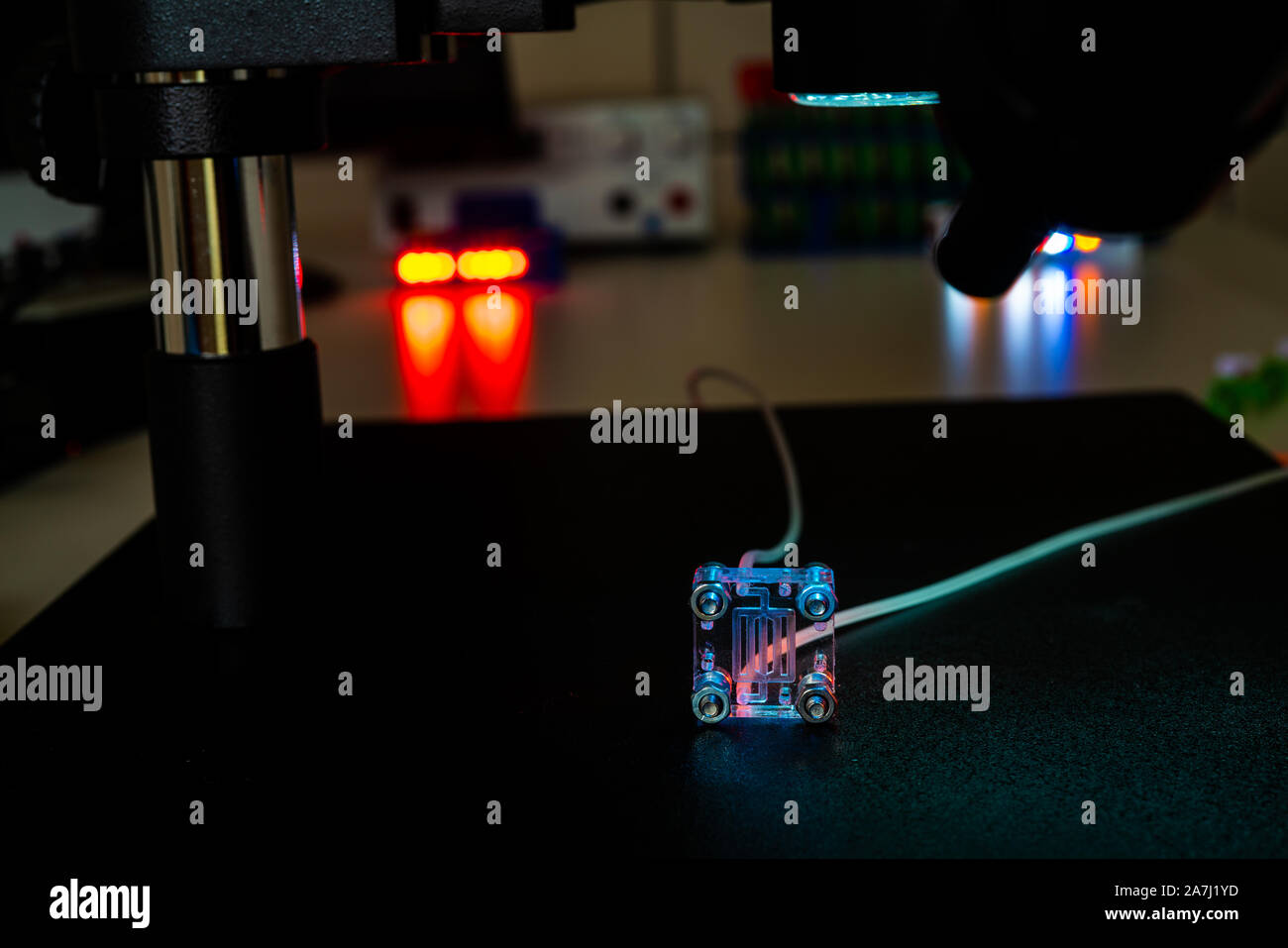 Organe-sur-puce (OOC) - dispositif microfluidique puce qui simule les organes biologiques c'est le type d'organes artificiels. Conception de prototypes de laboratoires sur puce Banque D'Images
