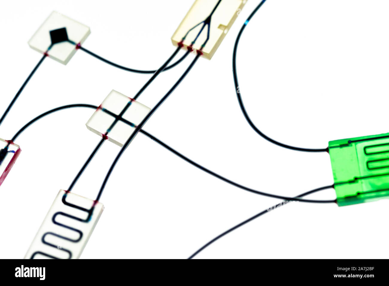 Organe-sur-puce (OOC) - dispositif microfluidique puce qui simule les organes biologiques c'est le type d'organes artificiels. Conception de prototypes de laboratoires sur puce Banque D'Images