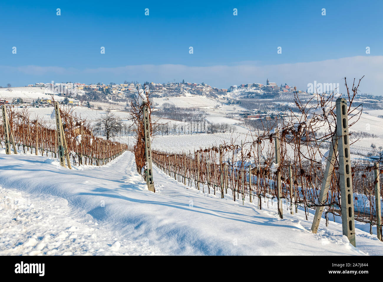 Rangées de vignes sur la colline couverte de neige sous ciel bleu en Piémont, Italie du Nord. Banque D'Images