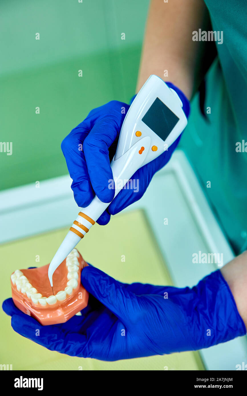 Dents dentier dentiste holding modèle, montrant avec sonde parodontale ...