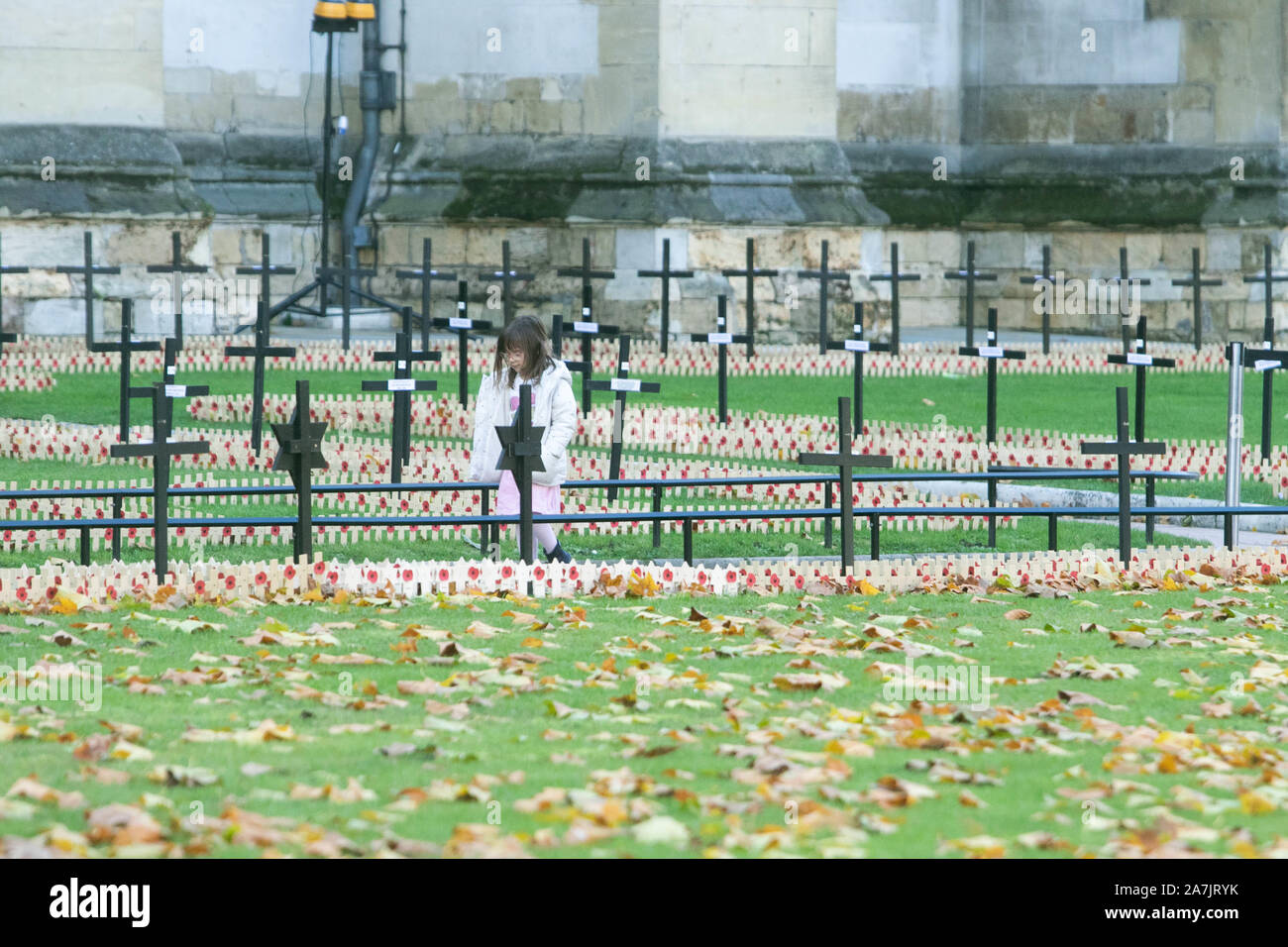 Londres, Royaume-Uni. 3 novembre 2019. Les visiteurs passent devant les croix portées sur le terrain du souvenir à l'extérieur de l'abbaye de Westminster en fonction de l'avenir de la régiments commémorations du Souvenir le dimanche . La British Legion Field du souvenir sera officiellement ouverte par Son Altesse Royale le prince Harry Duc de Sussex. amer ghazzal /Alamy live News Banque D'Images