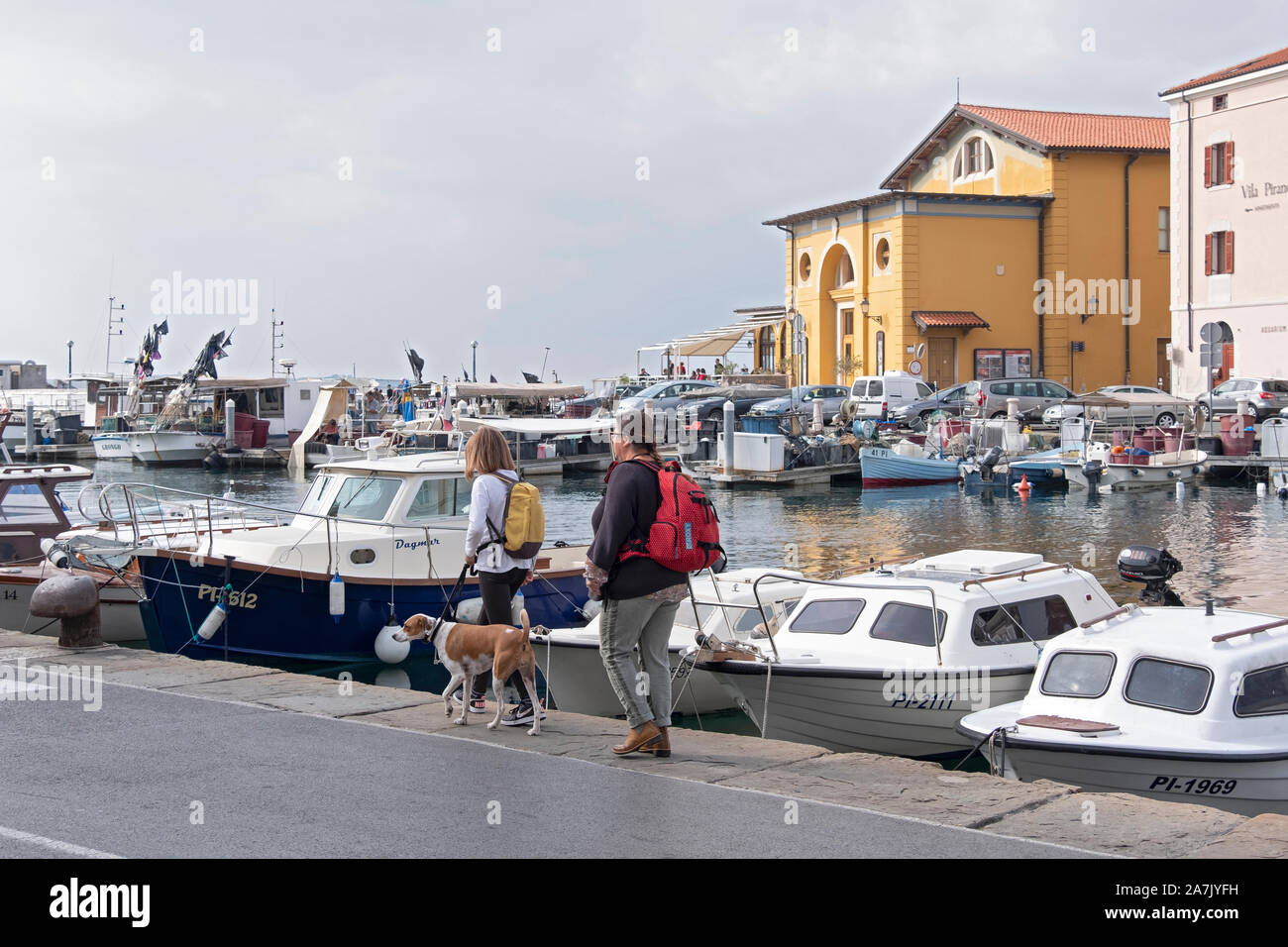 Deux femmes avec des sacs et un chien à pied le long de la côte Adriatique dans la région de Piran, Slovénie. Banque D'Images