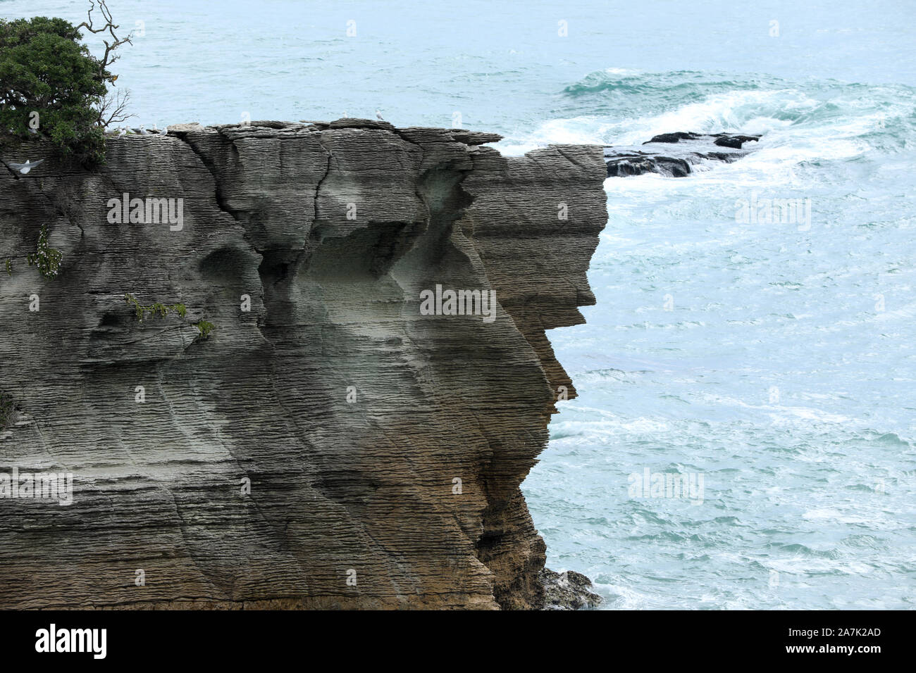 Pancake Rocks Nouvelle Zélande Banque D'Images