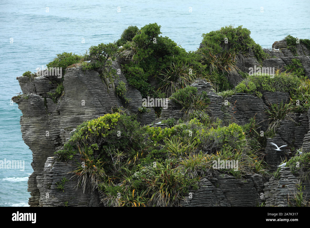 Pancake Rocks Nouvelle Zélande Banque D'Images